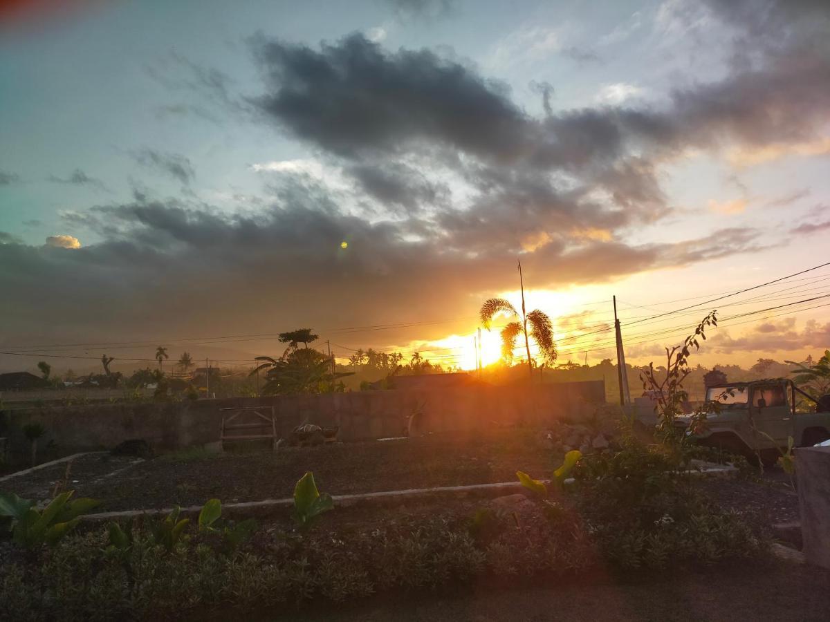 Limun * Amlapura
